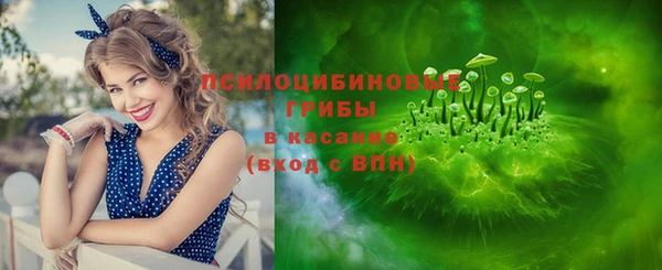 соль ск Алексин